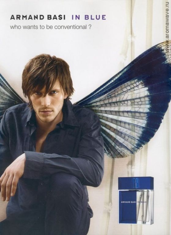 Armand Basi In Blue