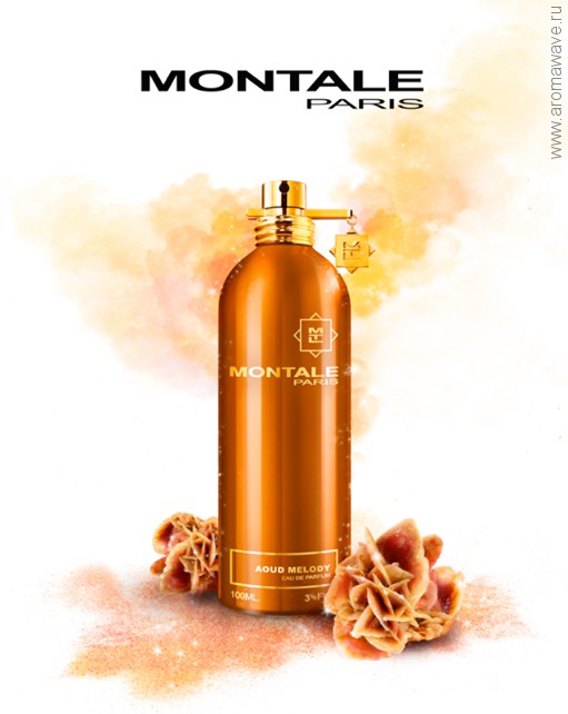 Montale Aoud Melody