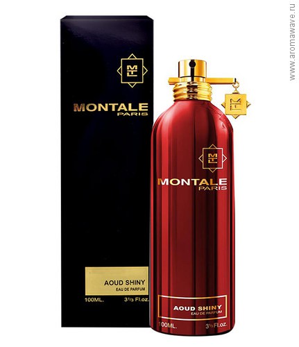 Montale Aoud Shiny