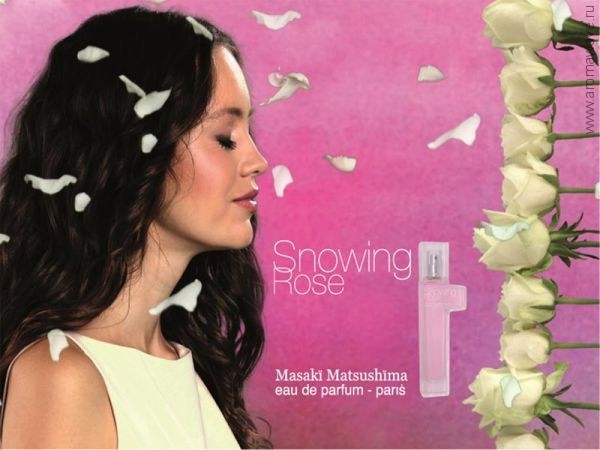 Masaki Matsushima Snowing Rose