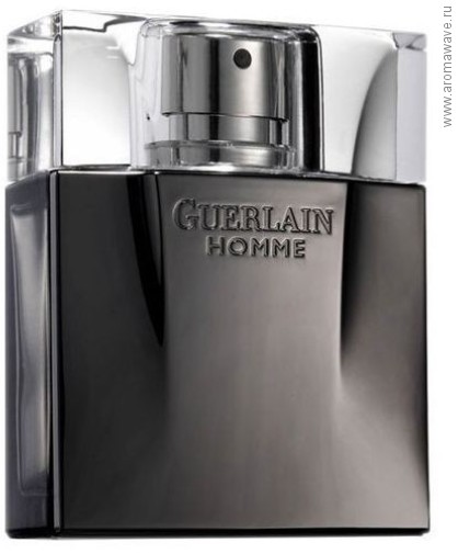 Guerlain Homme Intense