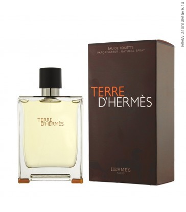 Hermes Terre D`Hermes