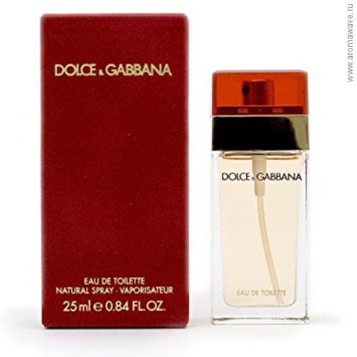 Dolce And Gabbana Dolce And Gabbana