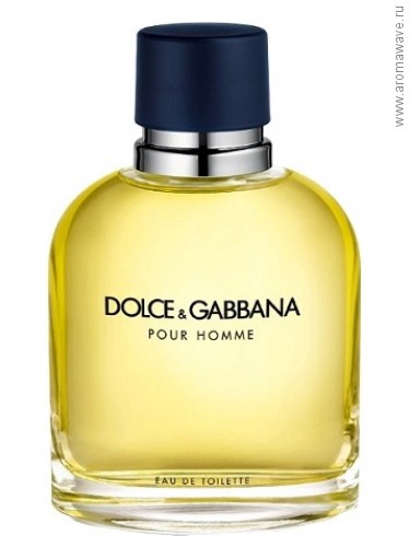 Dolce And Gabbana Pour Homme