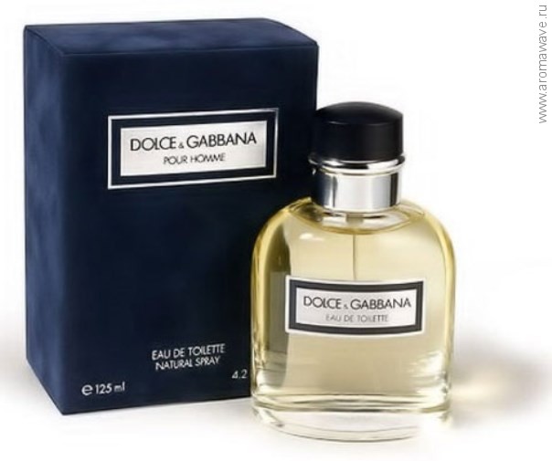 Dolce And Gabbana Pour Homme
