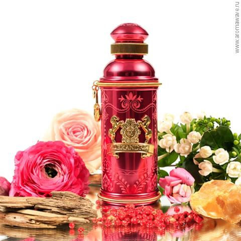 Alexandre J Altesse Mysore