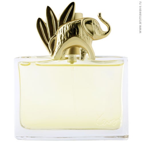 Kenzo Jungle L`elephant