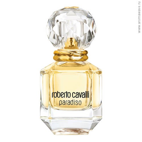 Roberto Cavalli Paradiso