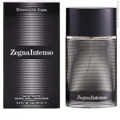 Ermenegildo Zegna Zegna Intenso