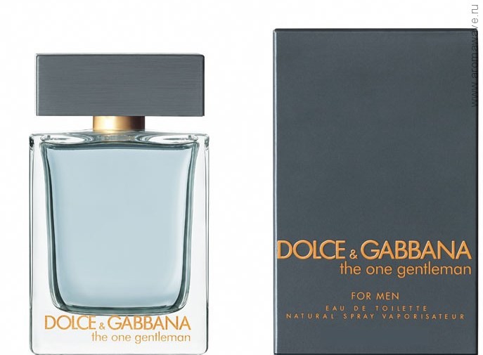 Dolce And Gabbana The One Gentleman