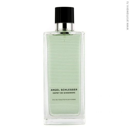 Angel Schlesser Esprit de Gingembre Pour Homme