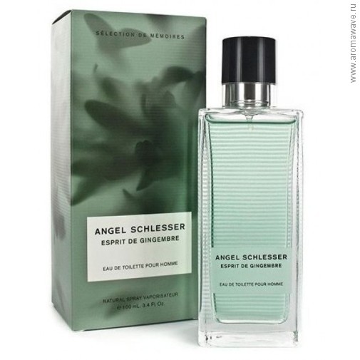 Angel Schlesser Esprit de Gingembre Pour Homme