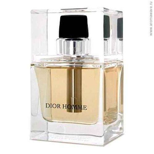 Christian Dior Dior Homme