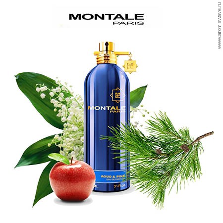 Montale Aoud & Pine