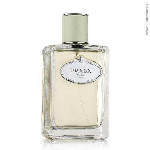 Prada Infusion d`Iris