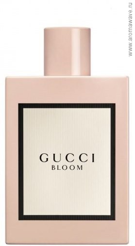 Gucci Bloom