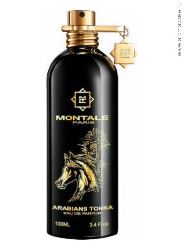 Montale Arabians Tonka