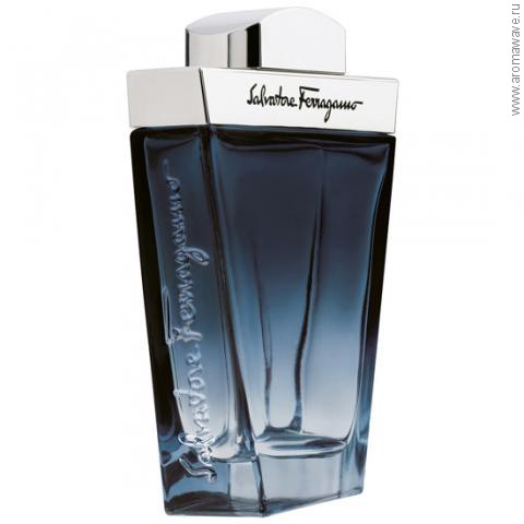 Salvatore Ferragamo Subtil Pour Homme