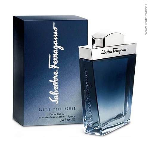 Salvatore Ferragamo Subtil Pour Homme