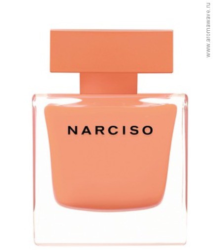 Narciso Rodriguez Narciso Ambree
