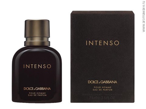 Dolce And Gabbana Pour Homme Intenso