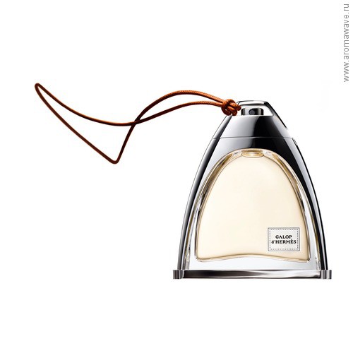 Hermes​ Galop d`Hermes