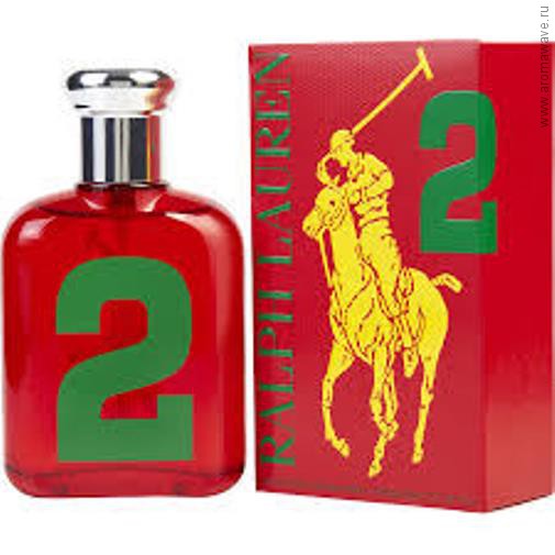 Ralph Lauren Big Pony 2