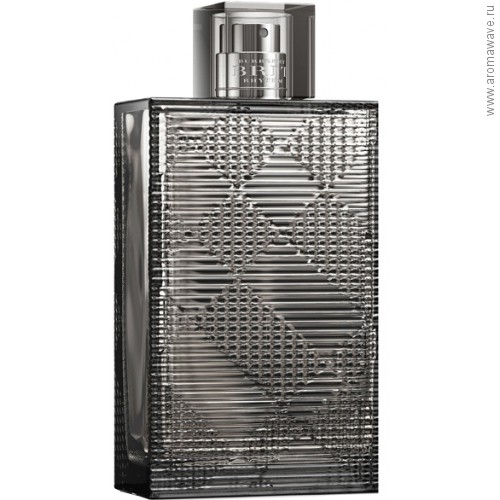 Burberry Brit Rhythm for Him Intense