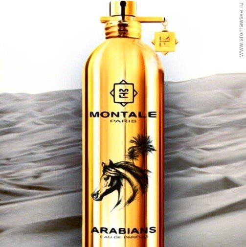 Montale Arabians