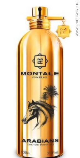 Montale Arabians