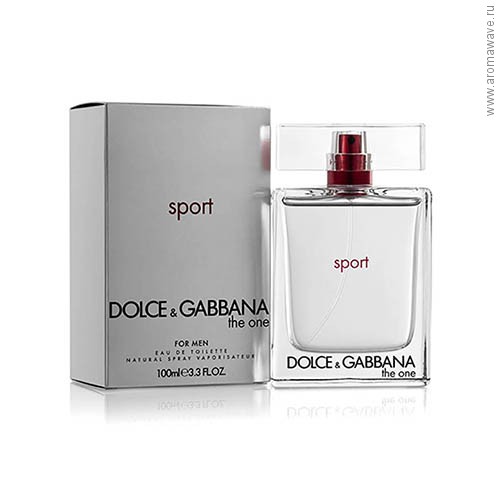 Dolce And Gabbana The One Sport