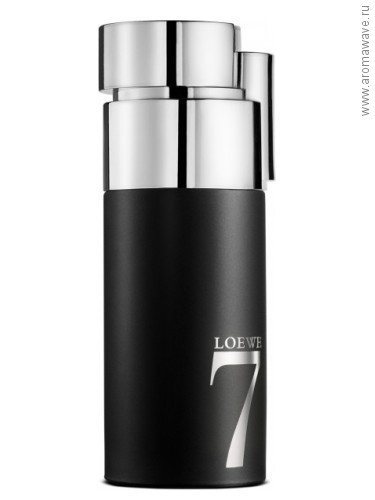 Loewe Loewe 7​ Anonimo