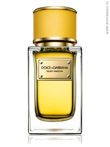 Dolce And Gabbana Velvet Ginestra​