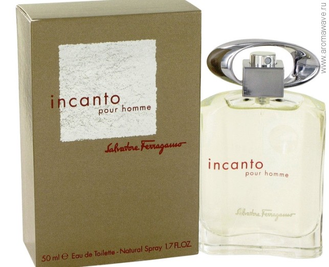 Salvatore Ferragamo Incanto pour Homme