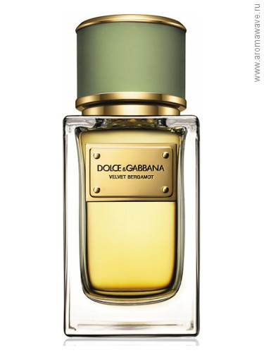 Dolce And Gabbana Velvet Bergamot​​