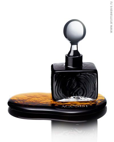 Agonist Black Amber