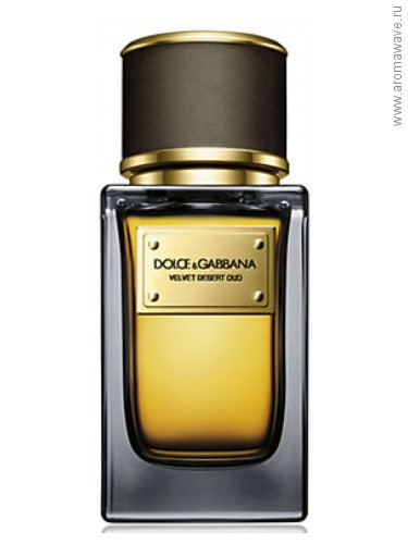 Dolce And Gabbana Velvet Desert Oud​