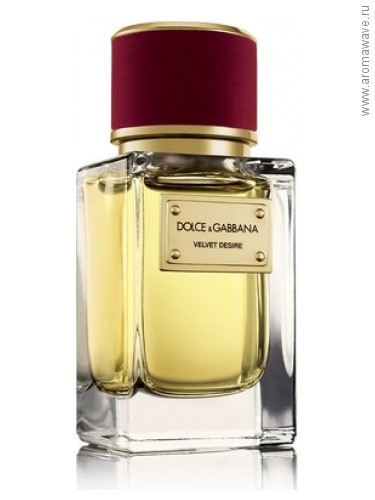 Dolce And Gabbana Velvet Desire​