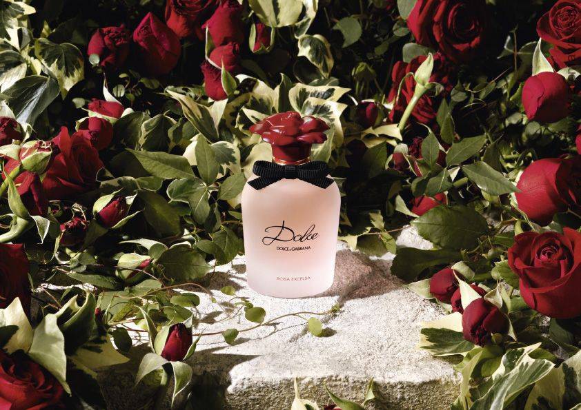 Dolce And Gabbana Dolce Rosa Excelsa