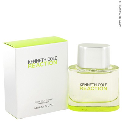 Kenneth Cole Reaction for Men