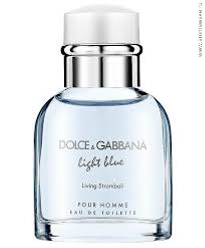 Dolce And Gabbana Light Blue Living Stromboli