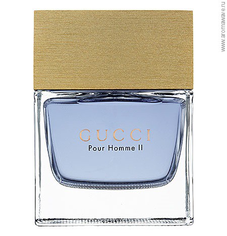 Gucci Pour Homme II