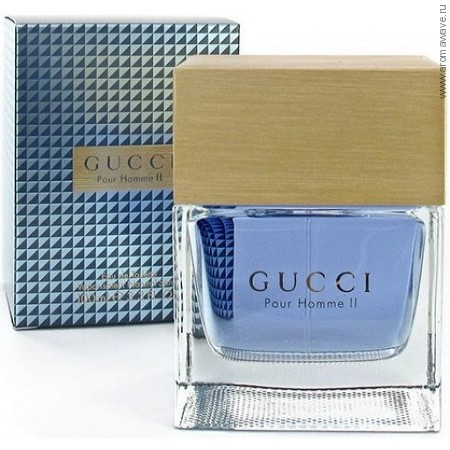 Gucci Pour Homme II