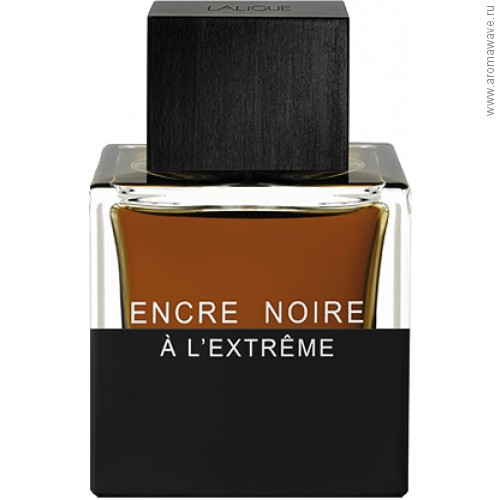 Lalique Encre Noire A L`Extreme