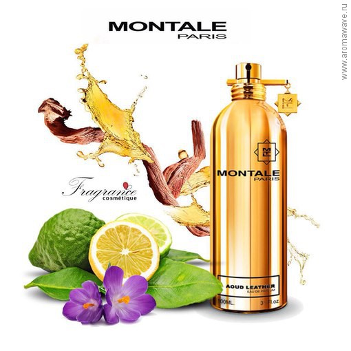 Montale Aoud Leather