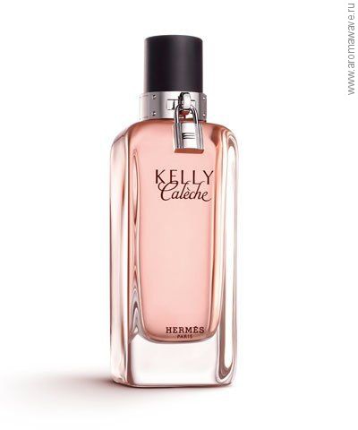 Hermes Kelly Caleche