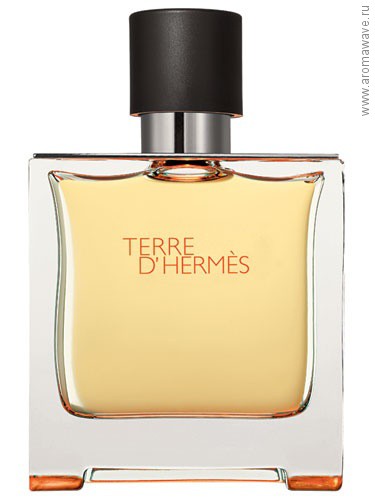 Hermes Terre D`Hermes