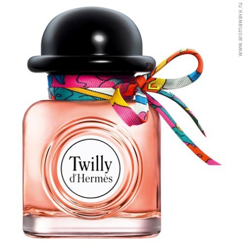 Hermès ​Twilly d`Hermes