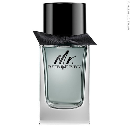Burberry Mr. Burberry