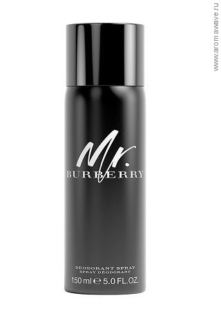 Burberry Mr. Burberry